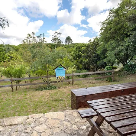 Quinta Do Castelo - Casa Familiar Летний дом Reguengo Grande