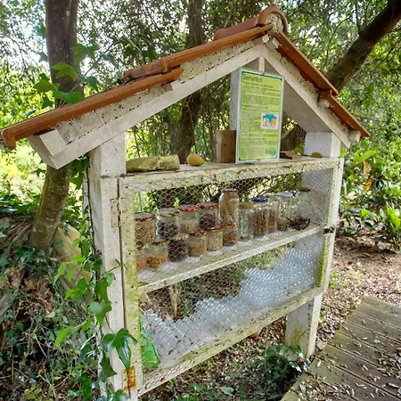 Летний дом Quinta Do Castelo - Casa Familiar Reguengo Grande