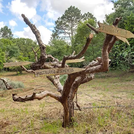 Летний дом Quinta Do Castelo - Casa Familiar